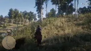 Red Dead Redemption 2 another god mode glitcher