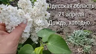 ВОСКРЕСЕНЬЕ - ДЕНЬ ЛЕНИВЫЙ. БОЛТАЛКА. Почему людей так интересуют чужие карманы?
