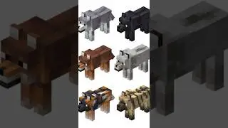 Novas variantes de cachorros no Minecraft!!! #shorts #minecraft #updateminecraft minecraft 1.21
