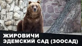 Zhirovichi | ZooGarden | Garden of Eden | Old Zhirovichi