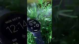 "Horizon Unveiled: Google Pixel Watch 2 - Where Style Meets Smart Innovation" #AccessAllowed