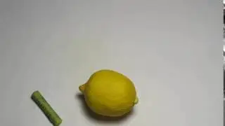 Вырезка из Мастер-класса 
