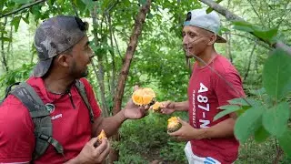Aventura De Pesca Entre El Salvador Y Honduras
