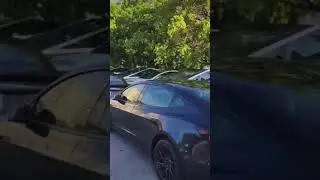 The hate for Elon Musk is crazy #tesla