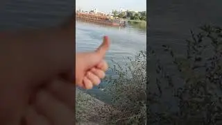 Разводка железнодорожного моста через реку Дон в Ростове-на-Дону! И крыса!