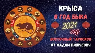 КРЫСА в год БЫКА 2021. Восточный тароскоп