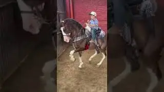 Caballos Bailadores