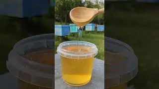 мëд