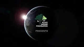 Fundação Black Jaguar : Vídeo informativo (2020)