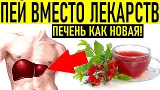ОЧИЩЕНИЕ ПЕЧЕНИ Нужно ли вам чистить печень и что ее разрушает. Прав ли доктор Берг?