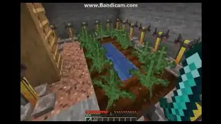finding a weed farm in minecraft... (gone wrong)