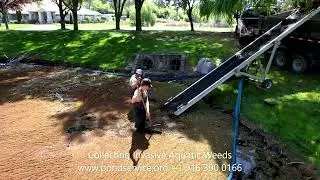 Cleaning a small Pond By Fuentes Lake & Pond, Inc