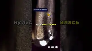 Анекдот 😂 про демократию