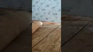 Начало демонтажа гнилого пола