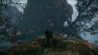 ELDEN RING ➤ Прохождение #13 ➤ СВЯТОЕ ДРЕВО МИКЕЛЛЫ