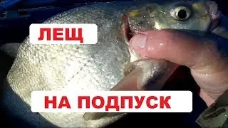 Лещ на подпуск. Ловля леща на подпуск в июле. Ловля с лодки.