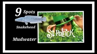 9 Spots - Farm the SNAKEHEAD - Mudwater - St-Patrick