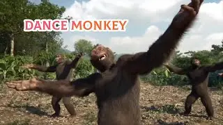 Tones and I - Dance Monkey - Best Choreography Festival Parody