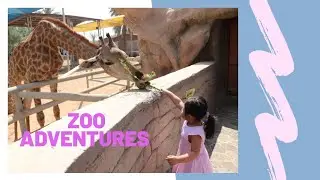 Zoo Adventures featuring Bernice.