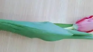 С 8 марта!!!