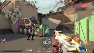 Best Valorant Colorbot (silent aim)
