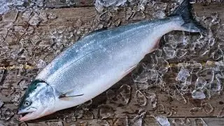 Let's Play Russian Fishing 3 Ep.2