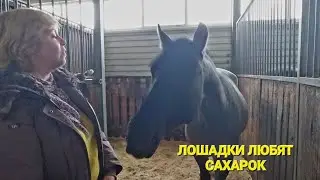 КСК 