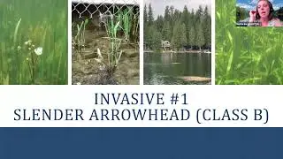 Lake Serene Invasive Aquatic Plant Community Meeting - 8/8/2024