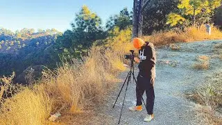 Capturing The Perfect Shot.