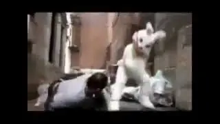 The Easter Bunny Hates You!