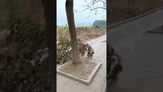 Я И БЕСПОЛЕЗНЫЕ ПОКУПКИ 😂🔥 #юмор #смех