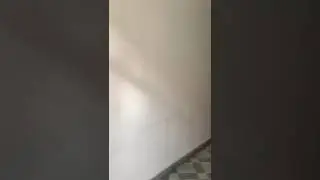 langrak 2