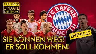 FCB-Einigung mit Palhinha | De Ligt darf gehen | Brighton heiß auf Hürzeler | Transfer Update