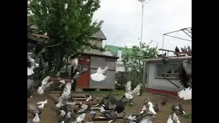 Порадовали