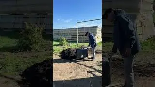 Колледж - біздің ортақ үйіміз!