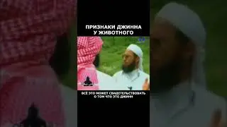 Признаки джинна у животного
