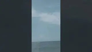 ЖИВЁМ РЯДОМ С МОРЕМ 20 мая 2023 г.