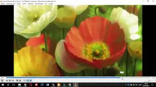 Como Convertir Avi Sd para dvd - Megui - MediaCoder