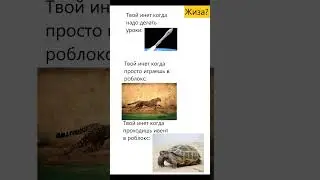 Мем 228