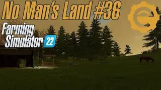 No Man's Land #36 | Horses