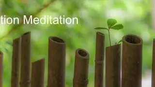 Equalization Meditation