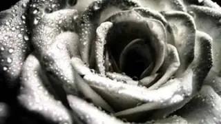 Хочу тебя видеть!.wmv