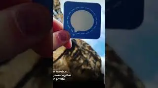 7 Best WhatsApp Alternative