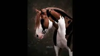 Fire Horse