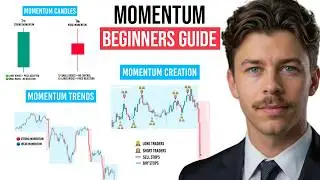 Momentum Trading for Beginners: How to Read Momentum