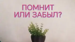ПОМНИТ ИЛИ ЗАБЫЛ?