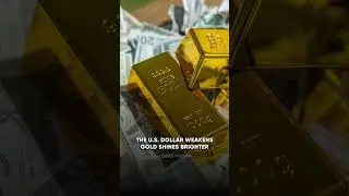 Gold scales record high, silver hits 14-year peak on Fed cut bets