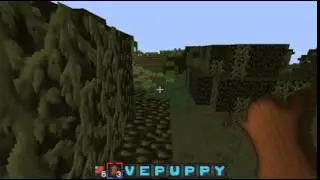 LAST CHANNEL VIDEO!