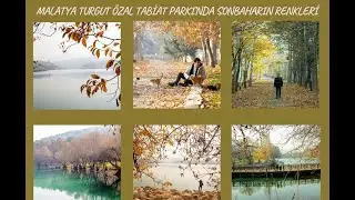 Malatya Turgut Özal Tabiat Parkı’nda Sonbahar renkleri
