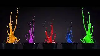 Lotte Entertainment/DCG Plus/Msteam Entertainment/Hive Media Corp (2016)